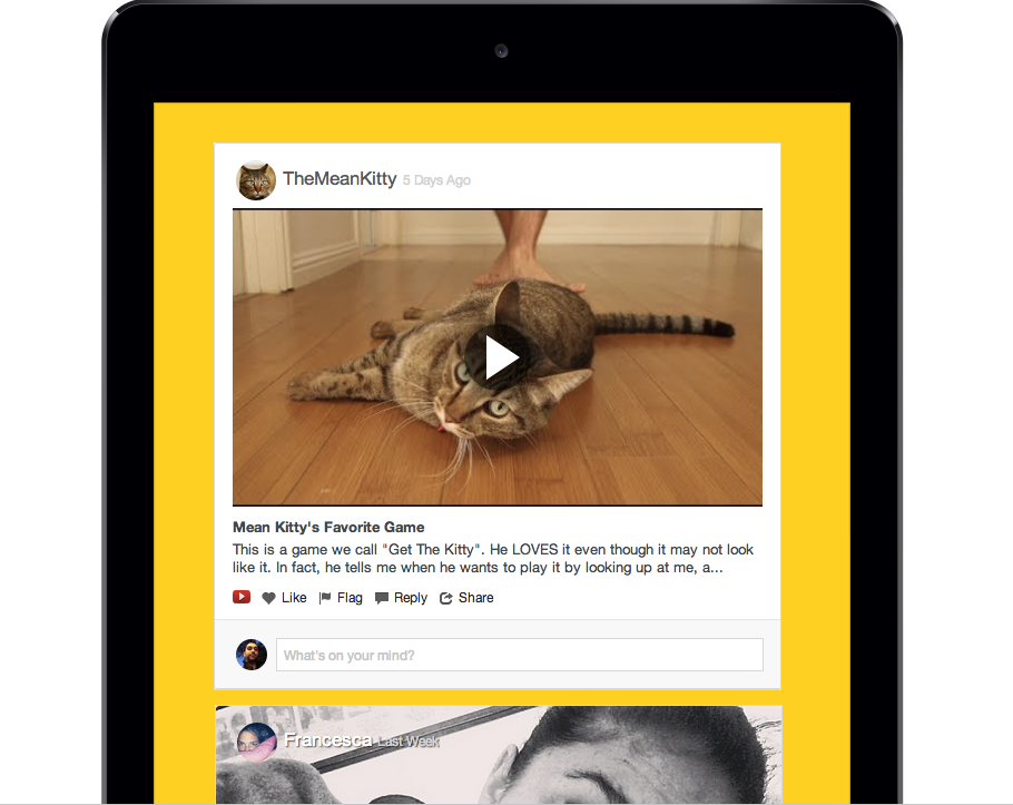 Echo Social Chatter Screenshot Echo Social Chatter